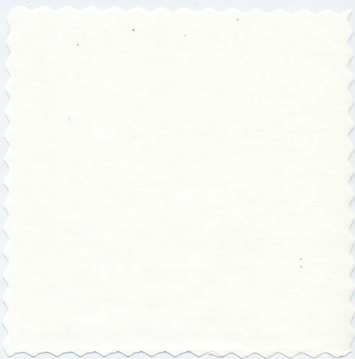 Pure Ivory 140s SuperFine™ Cotton Broadcloth